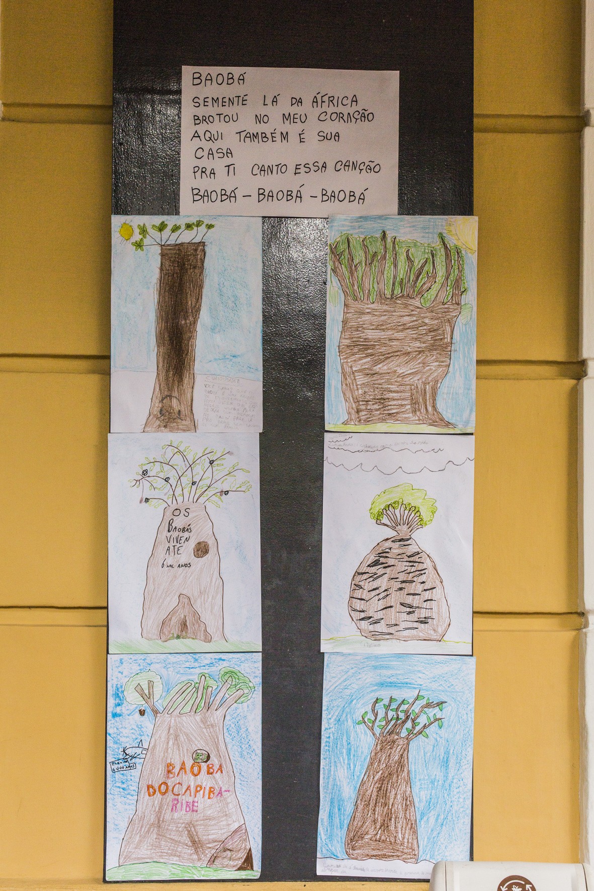 Festival do Baobá - passeio ciclístico 2019